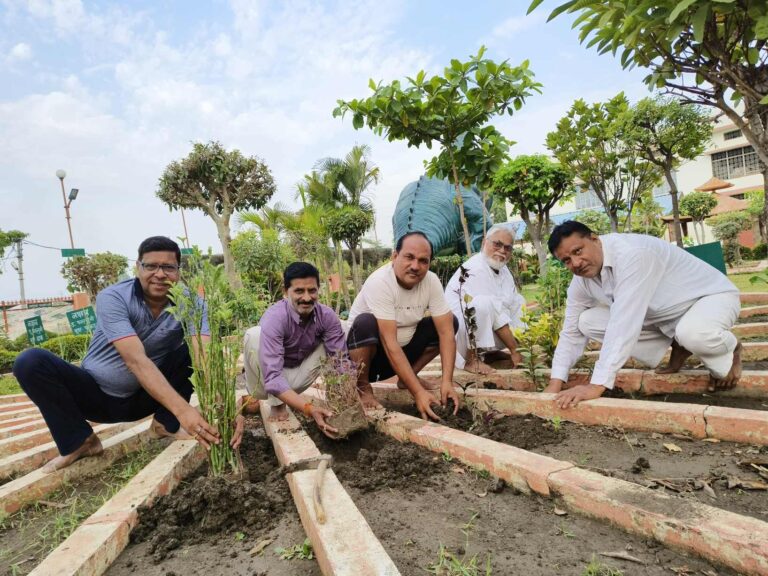 अगर आने वाली पीढियों को स्वच्छ वायु देना है तो पेड़ लगाना बहुत ही जरूरी – अंजुमन सदर सुबह की सैर के दौरान उपवन पार्क में सहयोगी,साथियों के साथ किया पौधारोपण
