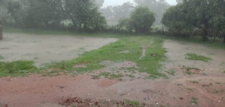 गर्मी और उमस से मिली लोगों को राहत झमाझम बारिश से किसानों के खिले चेहरे
