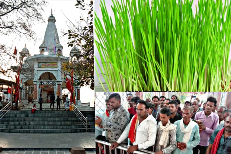शुरू हुआ नवदुर्गा महोत्सव देवी मंदिरों पर उमड़ी भक्तों की भीड़