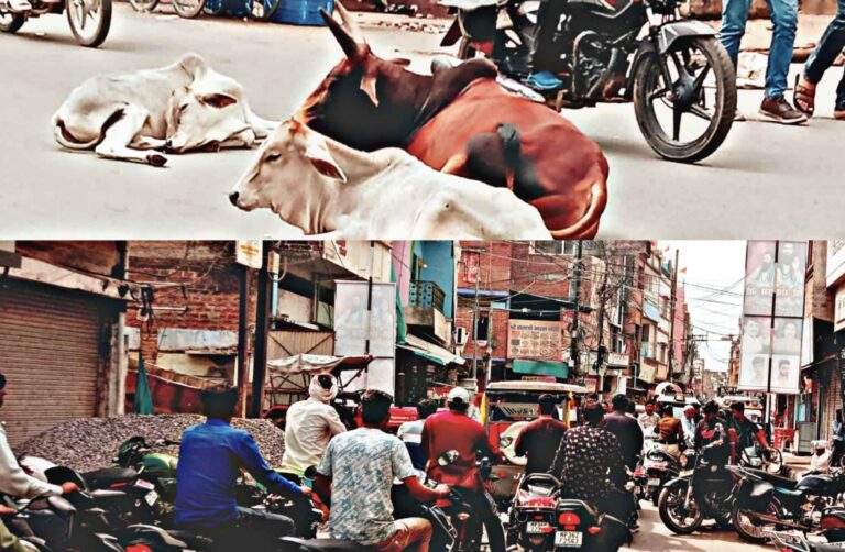 वाह री ! नगर की यातायात व्यवस्थाएं चौराहों सहित सड़कों पर लगातार लग रहे जाम