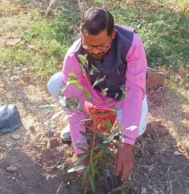 हरी भरी बगिया को खूब सराह रहे लोग फिर लगाए पुष्पेंद्र जैन ने अमृत वाटिका में 02 पेड़