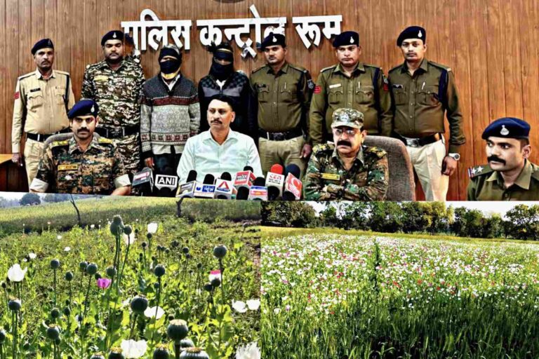 पुलिस अधीक्षक की निगहरानी में एसडीओपी जतारा के नेतृत्व में गठित 04 पुलिस टीमों द्वारा की गई कार्यवाही 03 वीघा में लगी अफीम की फसल में अफीम के पौधे कुल 4100 किलो कीमती 02 करोड़ रुपये के हुए जप्त