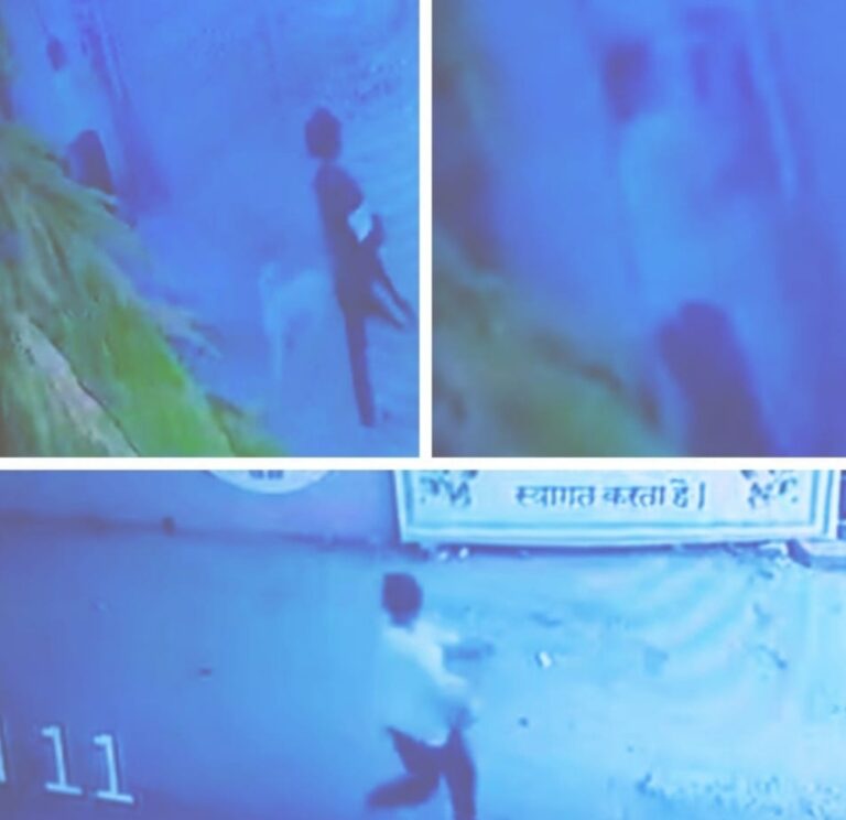 दो युवतियों द्वारा पुरानी इटारसी में जगह जगह फ्लेक्स फाड़े गए, पुलिस को की शिकायत जाँच जारी, अपराधिक गतिविधियों का अड्डा बन रहा है रेलवे इंस्टिट्यूट मैदान, अखिल भारत हिंदू महासभा ने की शीघ्र नियंत्रण की माँग