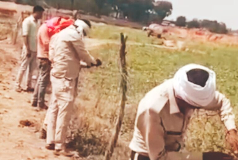 तहसीलदार लिधौरा प्राची जैन ने की कार्यवाही बराना ताल के डूब क्षेत्र के लगभग सात हेक्टेयर के अवैध अतिक्रमण को हटवाया