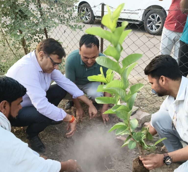 कलेक्टर श्री श्रोत्रिय ने विश्व पर्यावरण दिवस के उपलक्ष्य में किया पौधरोपण