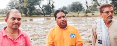 भारतीय किसान संघ के जिला अध्यक्ष शिवमोहन गिरी ने किसानों को बंधाया ढांढस अतिवृष्टि से बर्बाद हुई फसलों का खेत-खेत जाकर किया मुआयना