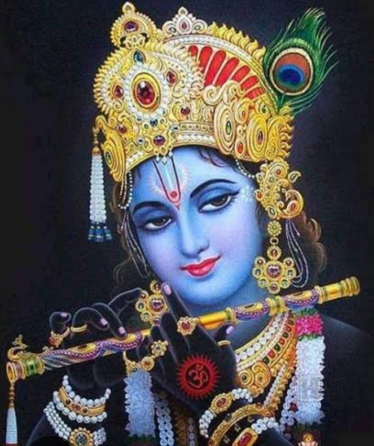 श्री कृष्ण जन्माष्टमी के पावन पर्व भव्य शोभा यात्रा का आयोजन 17 अगस्त को