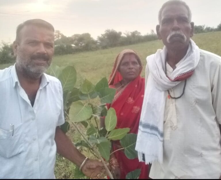 लोककल्याण के संकल्प संग संपन्न हुआ पौधरोपण, तवा बांध नहर तट पर पीपल, बरगद, नीम और बेल के पौधों का किया रोपण