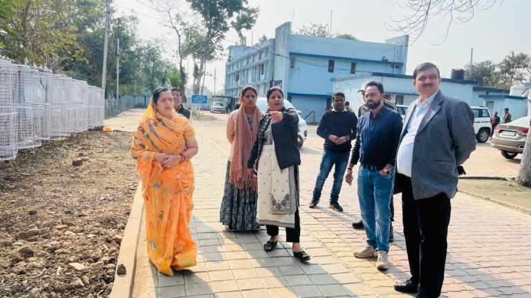 मां नर्मदा प्रकटोत्सव को लेकर नपाध्यक्ष और सीएमओ ने किया समूचे नगर का निरीक्षण किया
