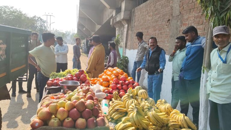 नगर पालिका परिषद इटारसी में आज मुख्य नगर पालिका अधिकारी श्रीमती रितु मेहरा के निर्देश पर आर आई गजेंद्र पांडे के नेतृत्व में अतिक्रमण दल द्वारा बाजार क्षेत्र में रोड अवरुद्ध कर खड़े रहने वाले फल विक्रेताओं के ठेले वा सामग्री जप्त करने की कार्यवाही की गई I
