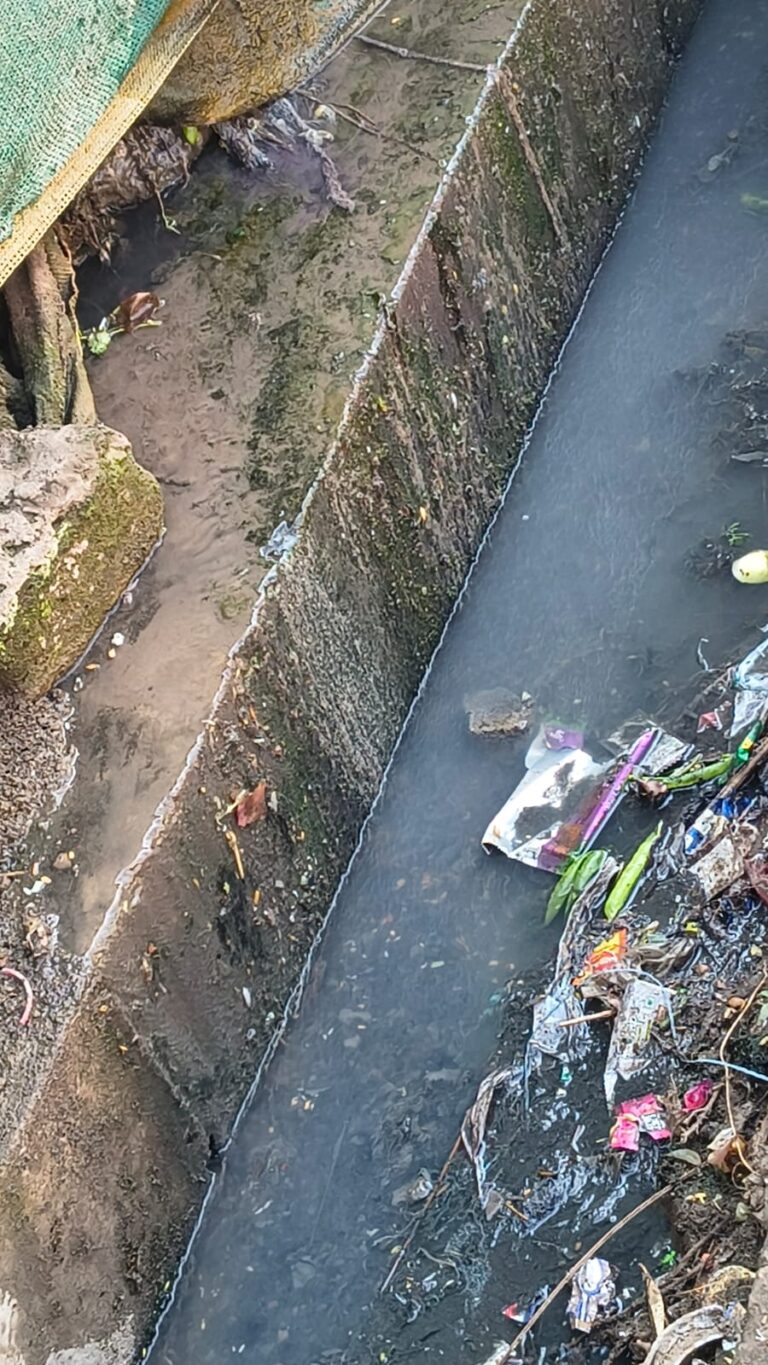 पुरानी इटारसी: दो साल से बजबजा रही नालियां, सफाई के नाम पर नगर पालिका कर्मचारियों का ‘कोरा जवाब I