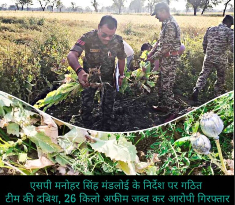 टीकमगढ़ जिला पुलिस की बड़ी कार्रवाई: गेहूं के खेत में उगाई जा रही अवैध अफीम की खेती का भंडाफोड़ एसपी मनोहर सिंह मंडलोई के निर्देश पर गठित टीम की दबिश, 26 किलो अफीम जब्त कर आरोपी गिरफ्तार