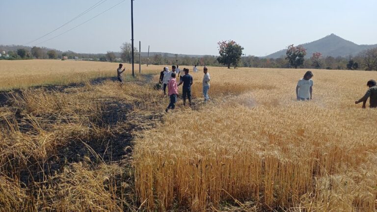 इटारसी: फोरलेन पथरौटा के पास खेत में लगी भीषण आग, ग्रामीणों की तत्परता से टला बड़ा हादसा I