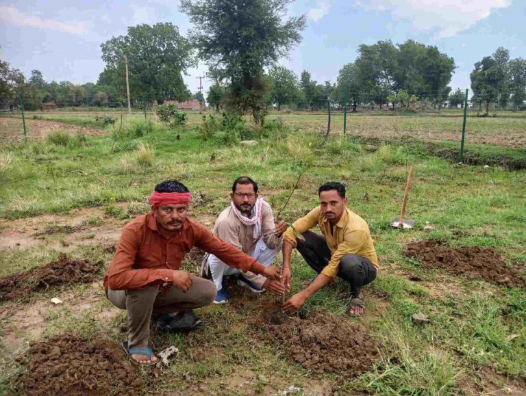 केशवगढ़ में हरियाली की पहल: सरपंच प्रतिनिधि पुष्पेंद्र जैन ने लगाए 11 फलदार पौधे, लिया जीवन भर एक पौधा लाने का संकल्प